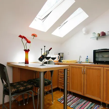 Apartment Maya City Centar - Ae1561 アパート *